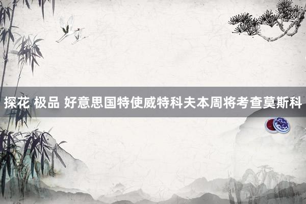 探花 极品 好意思国特使威特科夫本周将考查莫斯科