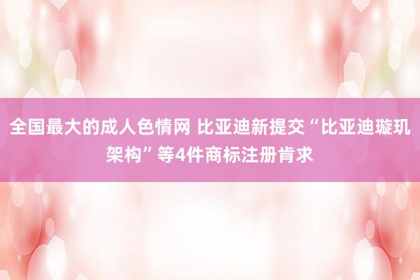 全国最大的成人色情网 比亚迪新提交“比亚迪璇玑架构”等4件商标注册肯求