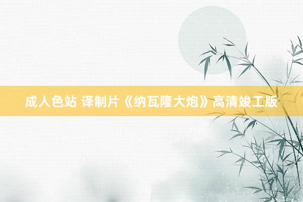成人色站 译制片《纳瓦隆大炮》高清竣工版